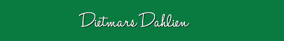 Dahlien - Dietmar-Dahlien.de